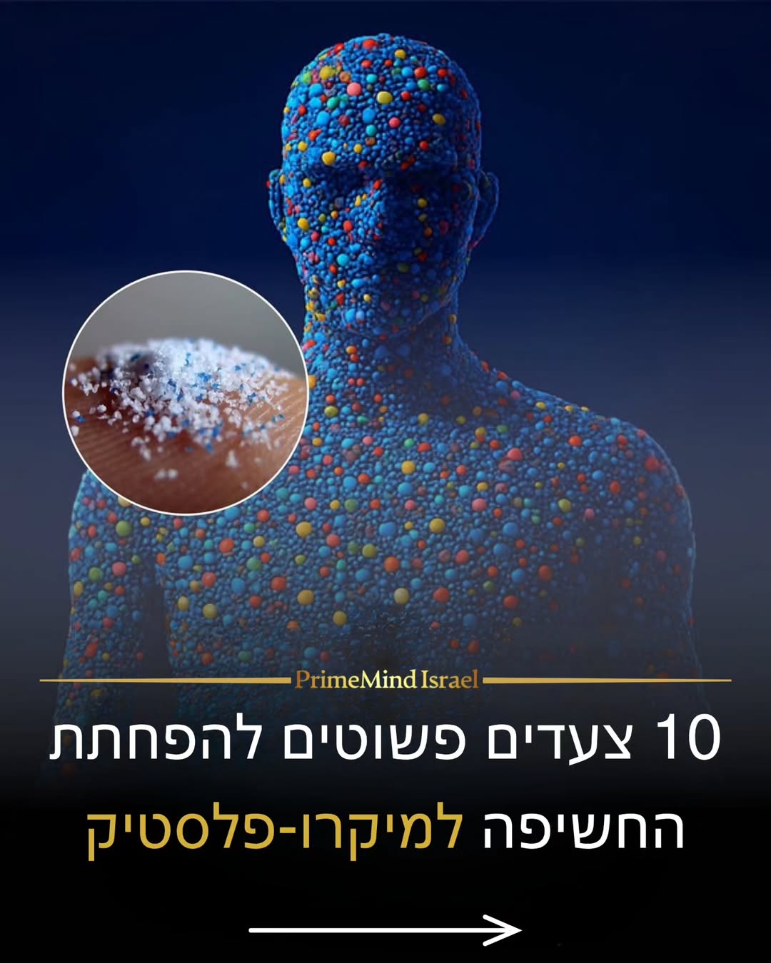 תמונה 1 מתוך 11