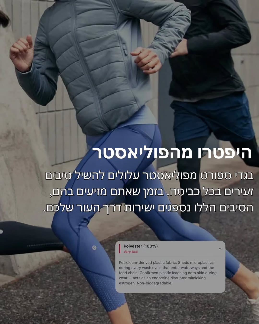 תמונה 2 מתוך 11