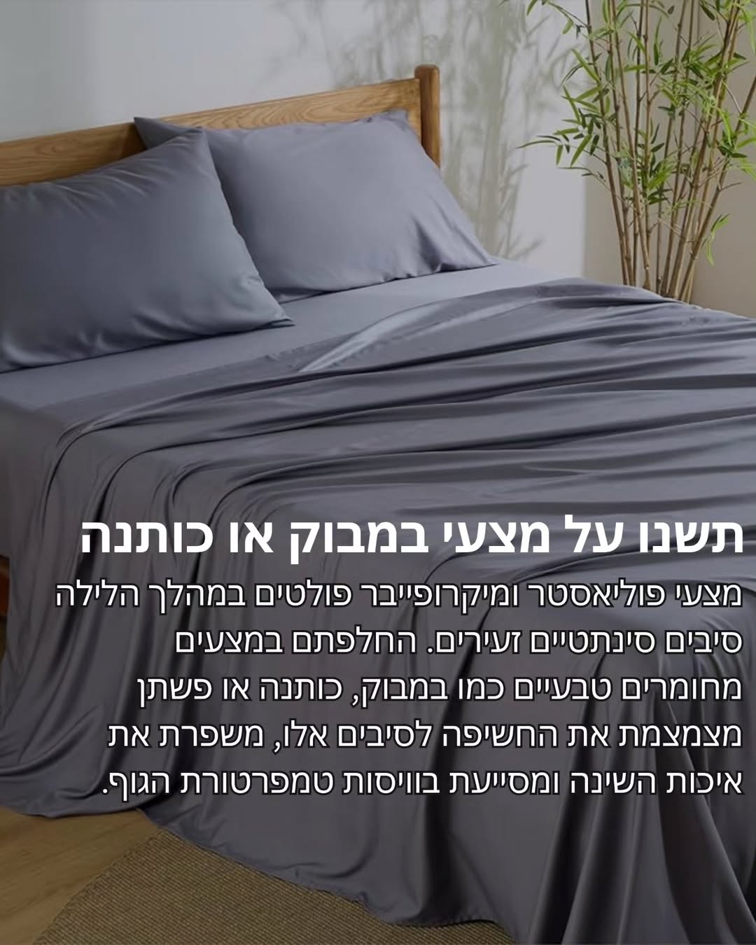 תמונה 11 מתוך 11