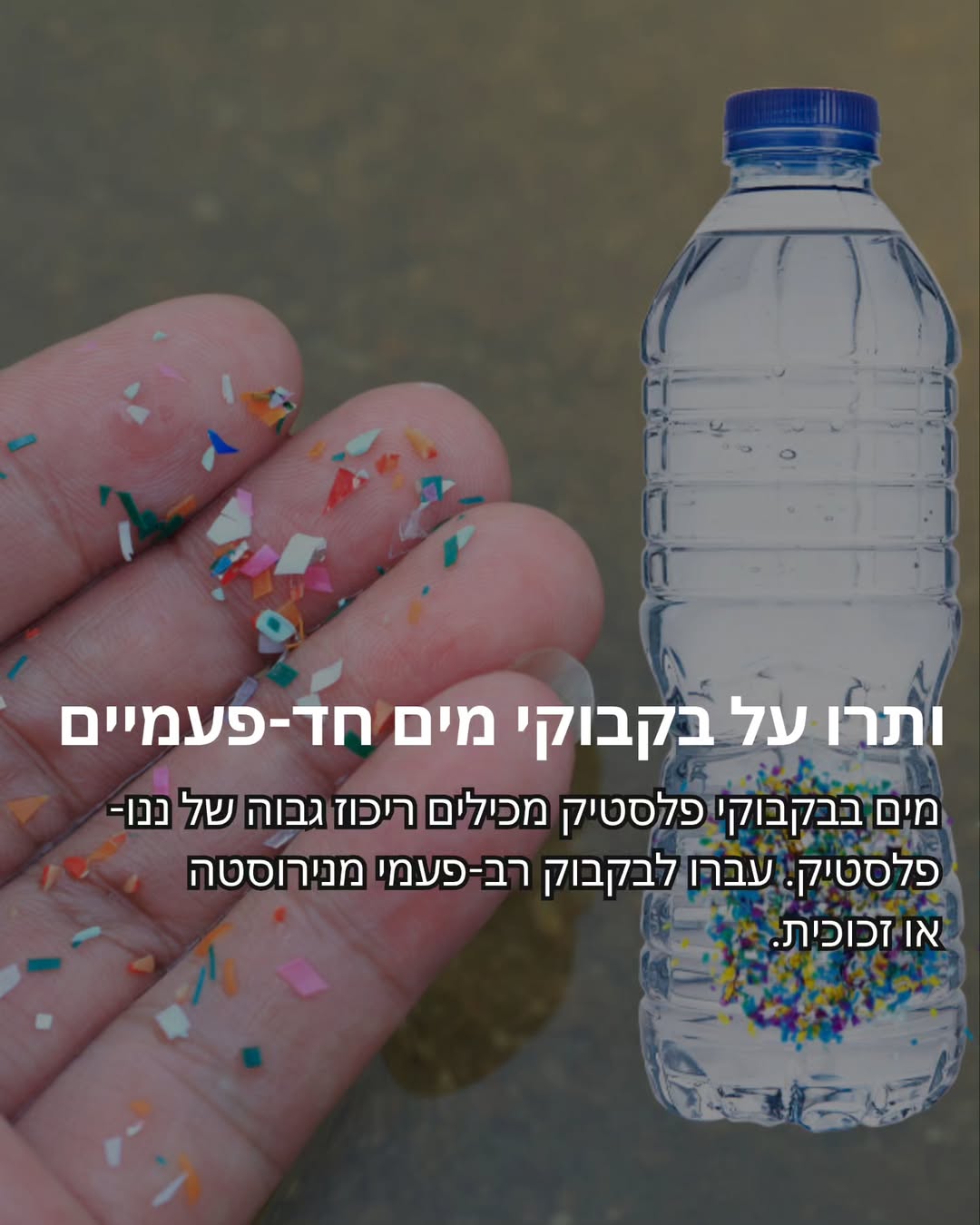 תמונה 4 מתוך 11