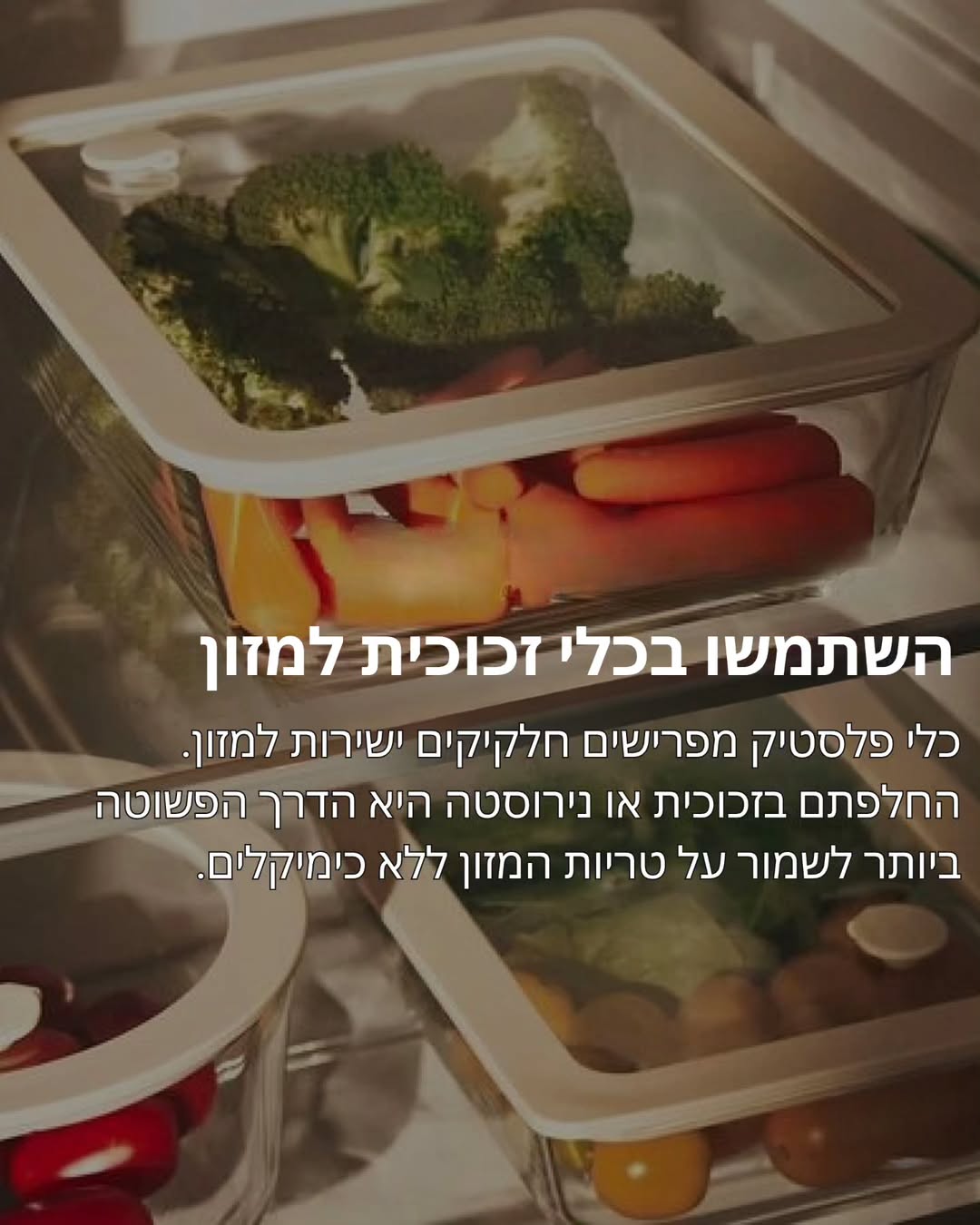 תמונה 6 מתוך 11