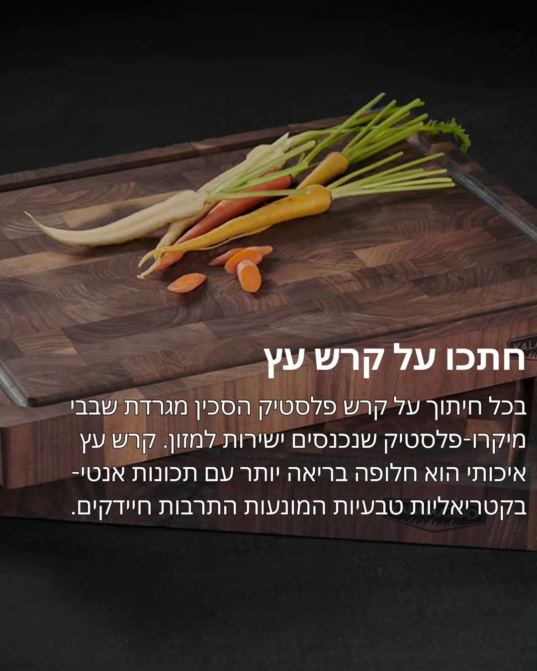 תמונה 7 מתוך 11