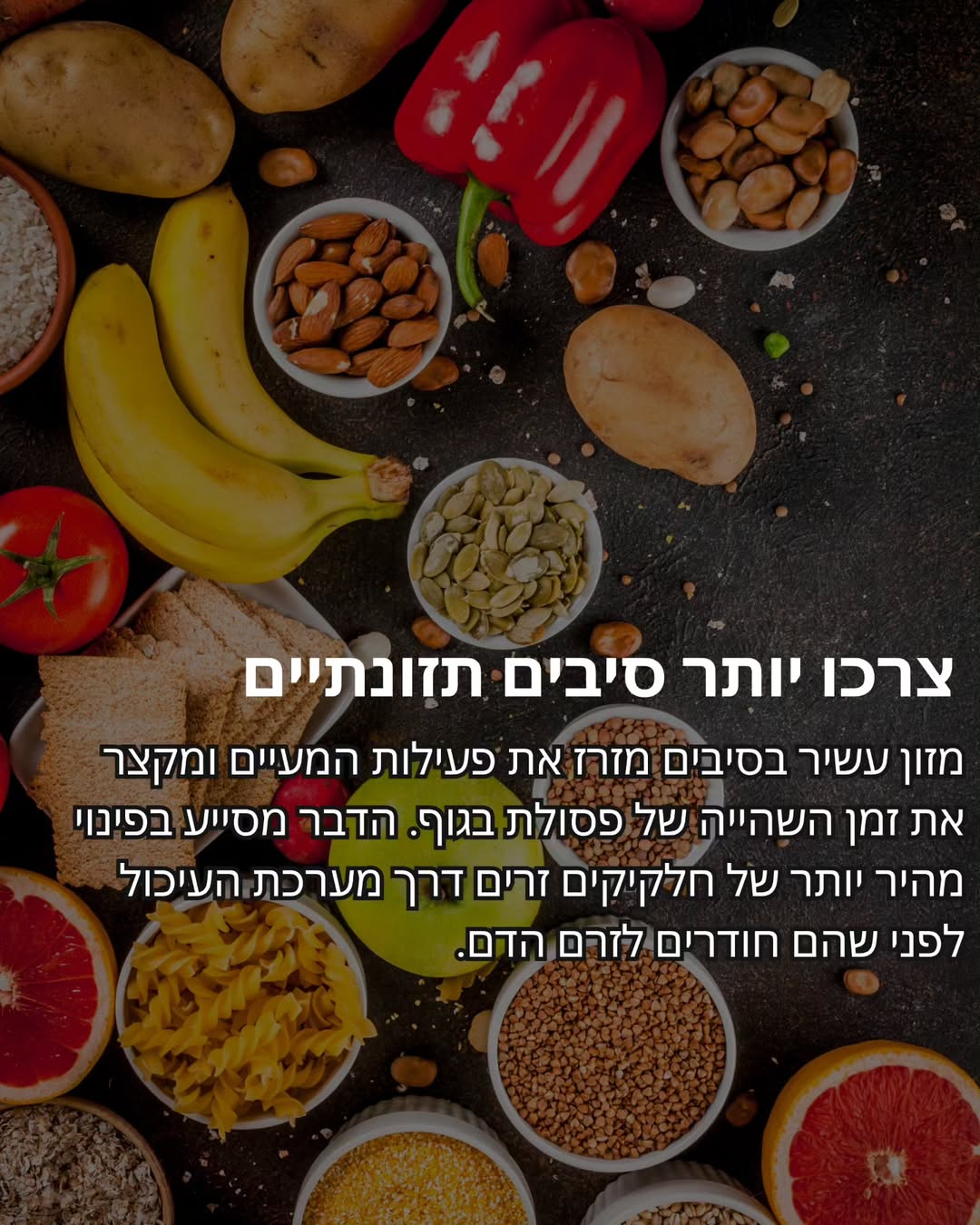 תמונה 8 מתוך 11