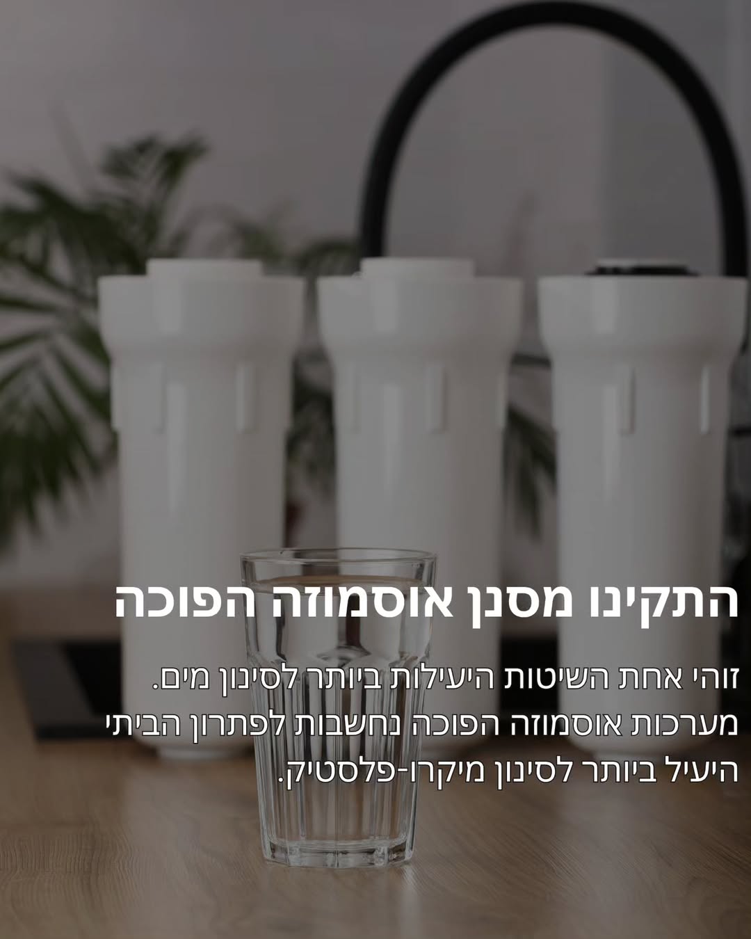 תמונה 9 מתוך 11