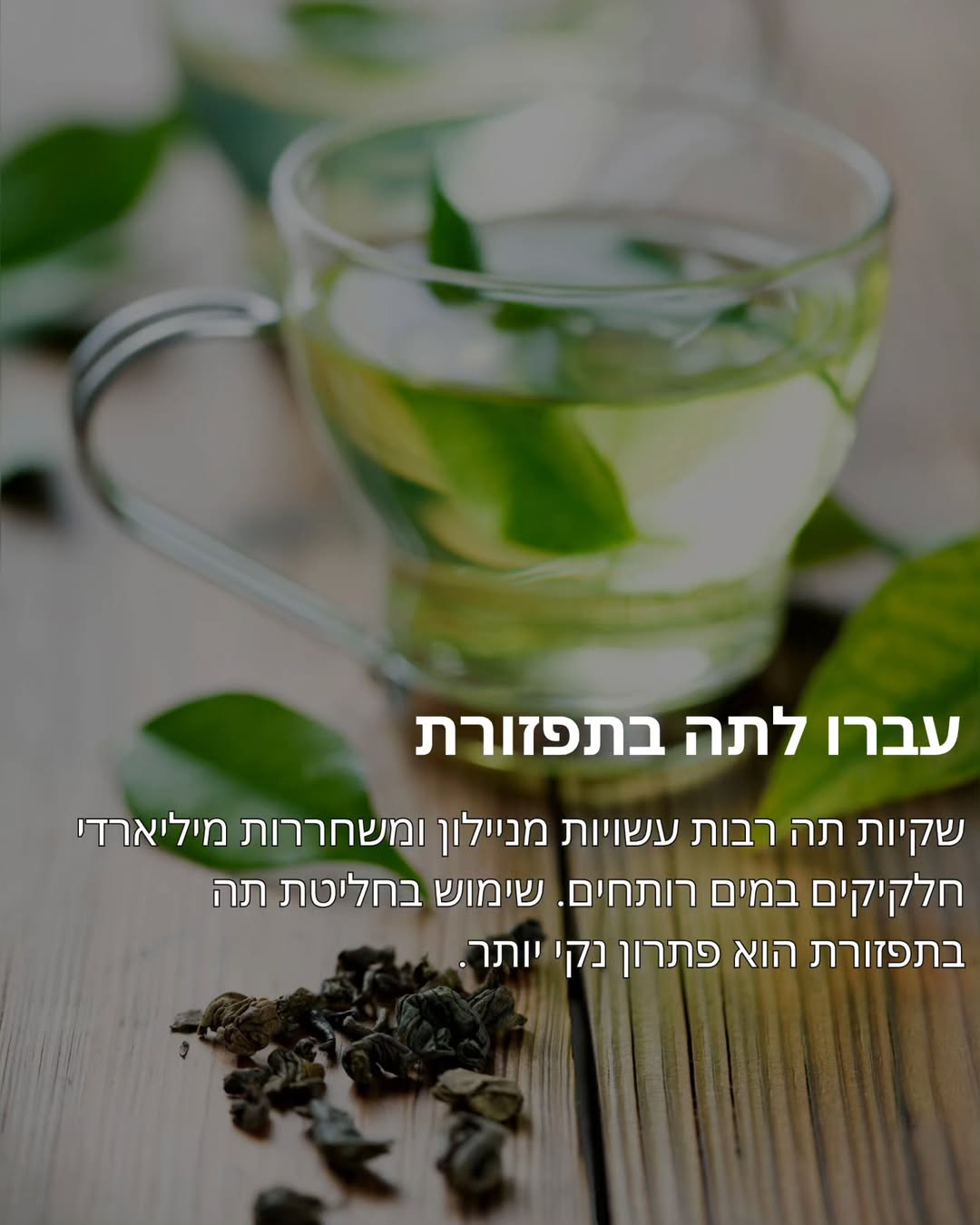 תמונה 10 מתוך 11