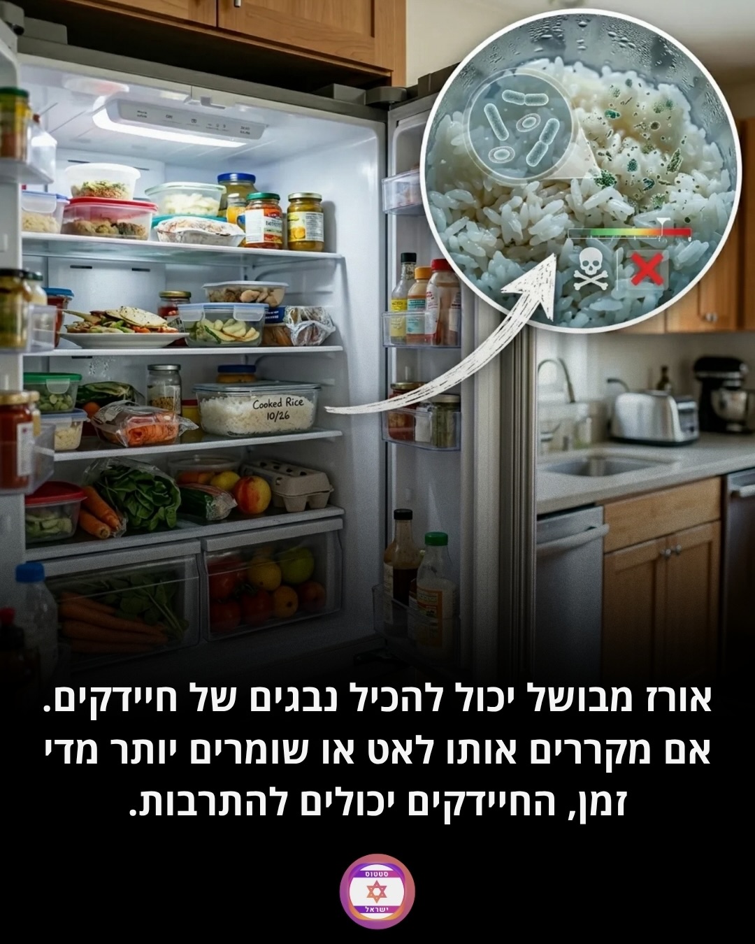 תמונה 2 מתוך 7