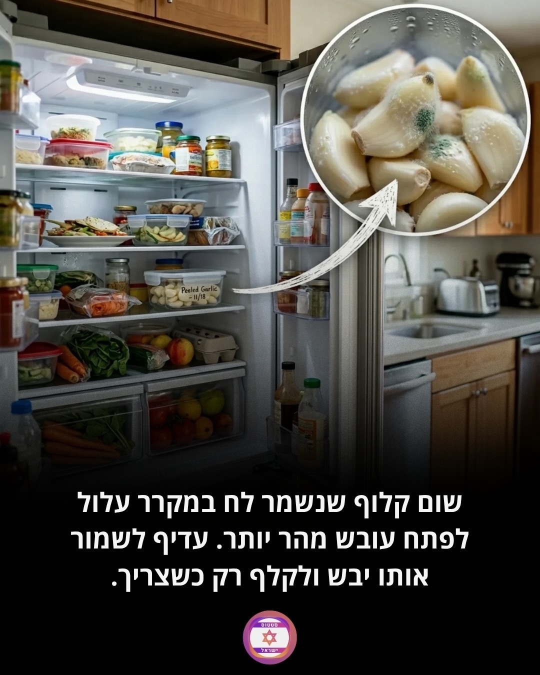 תמונה 3 מתוך 7