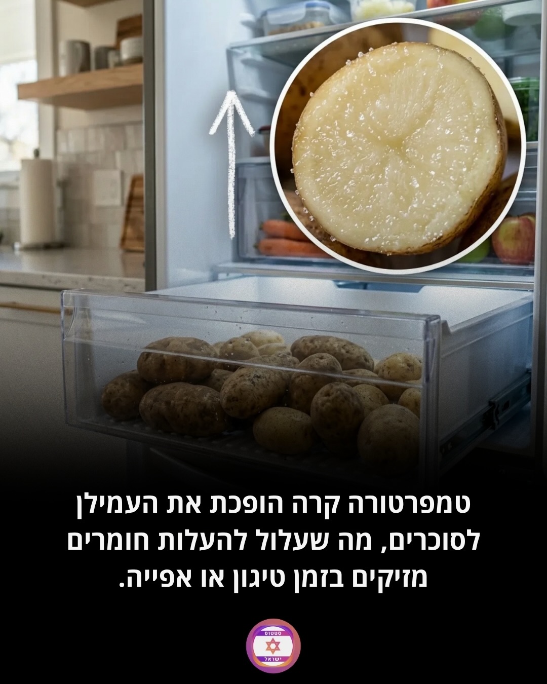 תמונה 4 מתוך 7