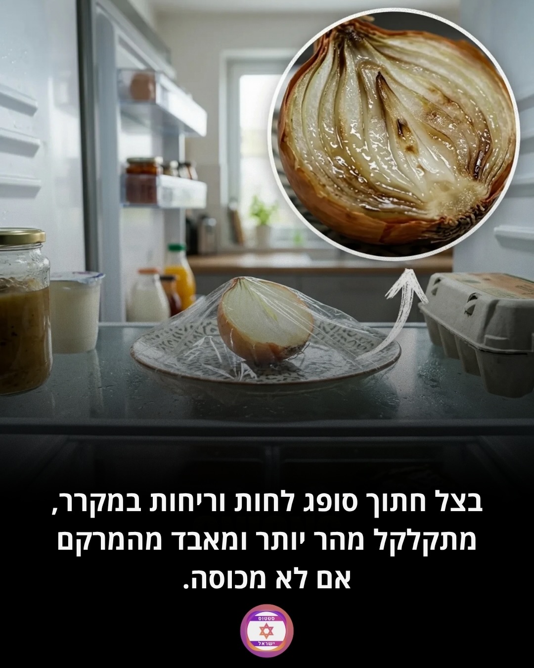 תמונה 5 מתוך 7