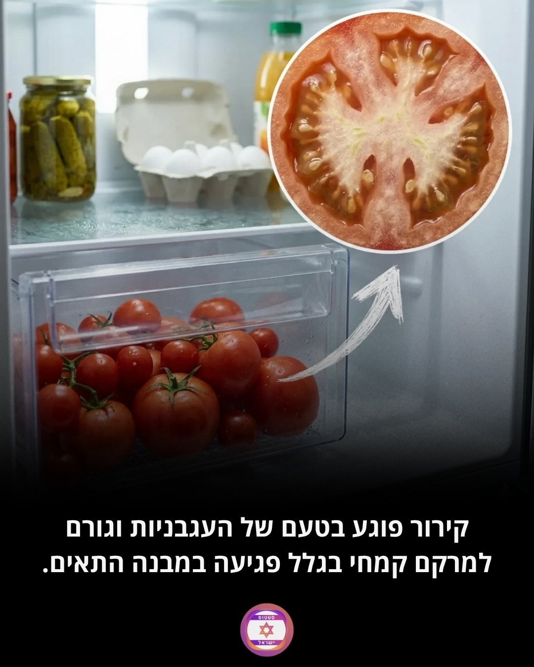תמונה 6 מתוך 7
