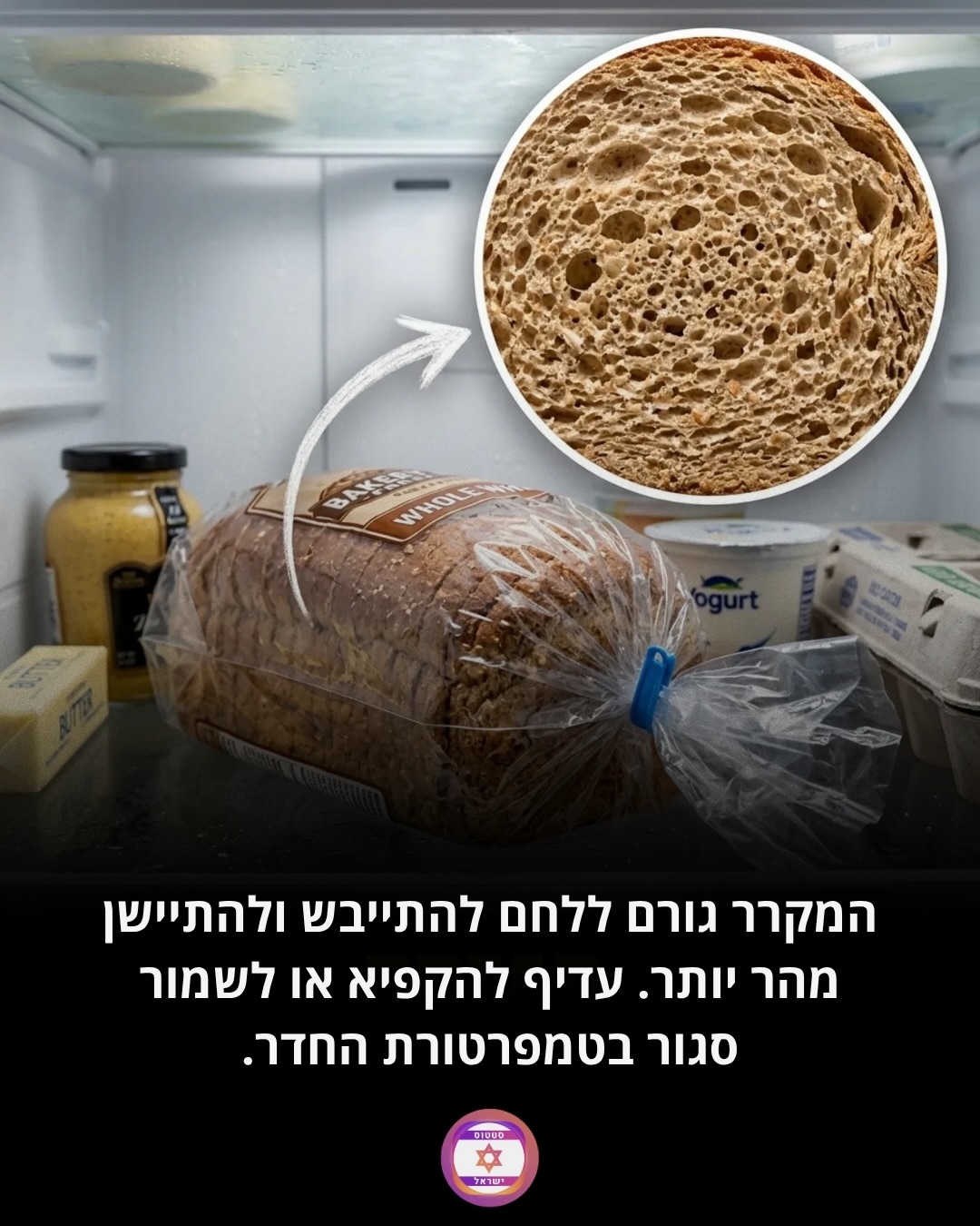 תמונה 7 מתוך 7