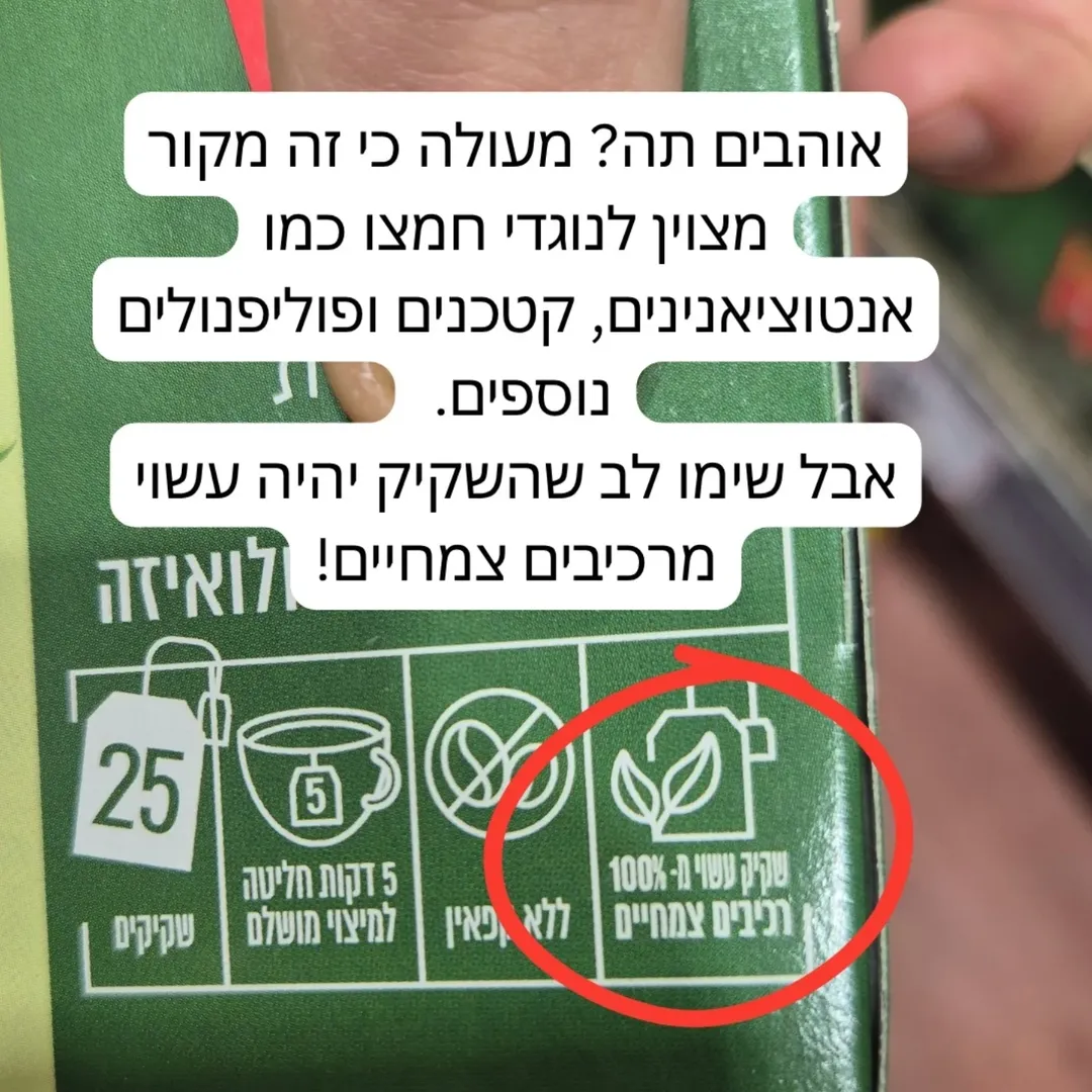 תמונה 2 מתוך 10