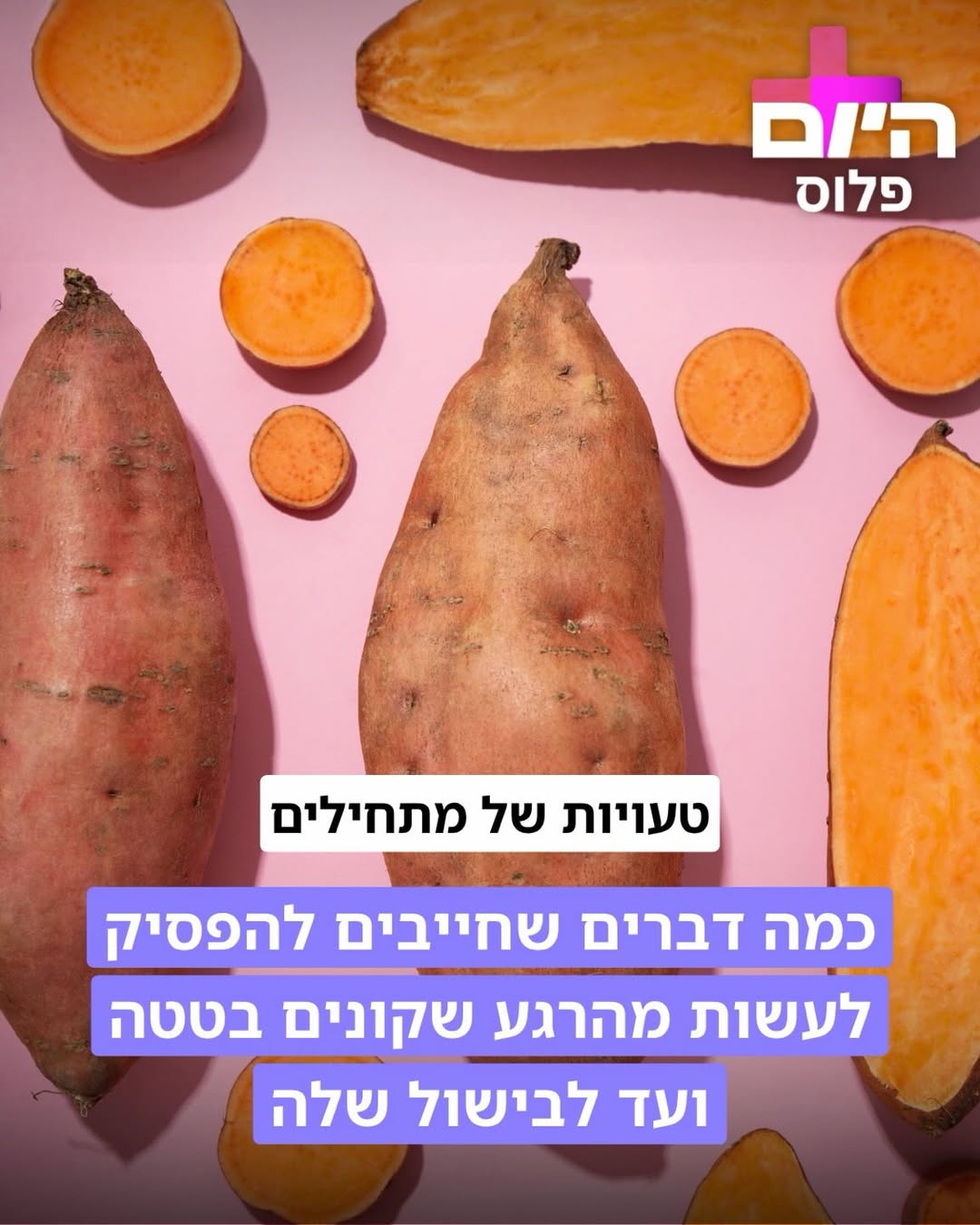 תמונה 1 מתוך 5