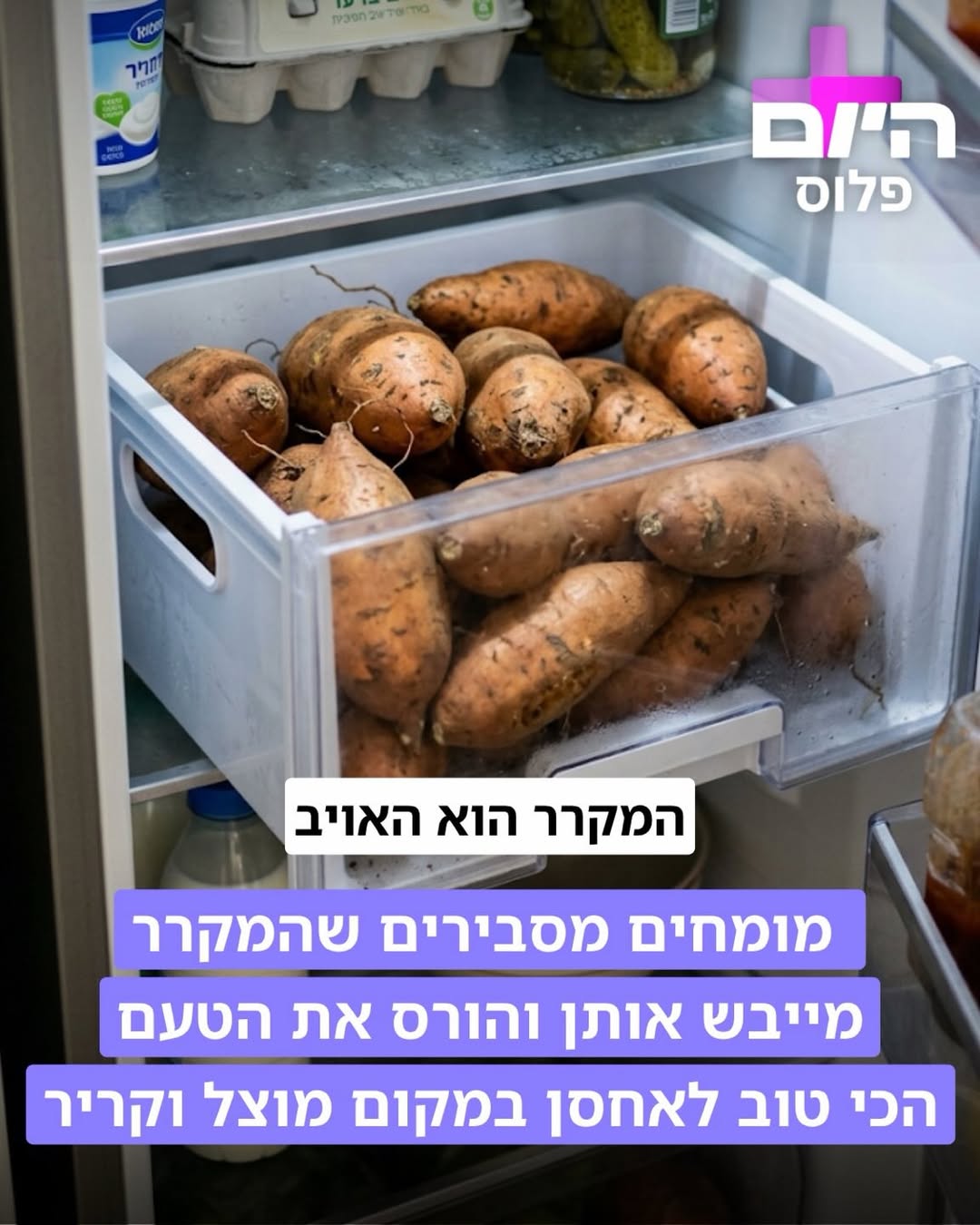 תמונה 2 מתוך 5