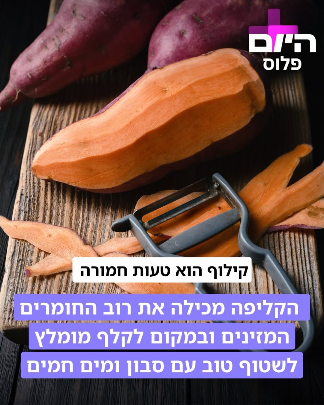 תמונה 3 מתוך 5