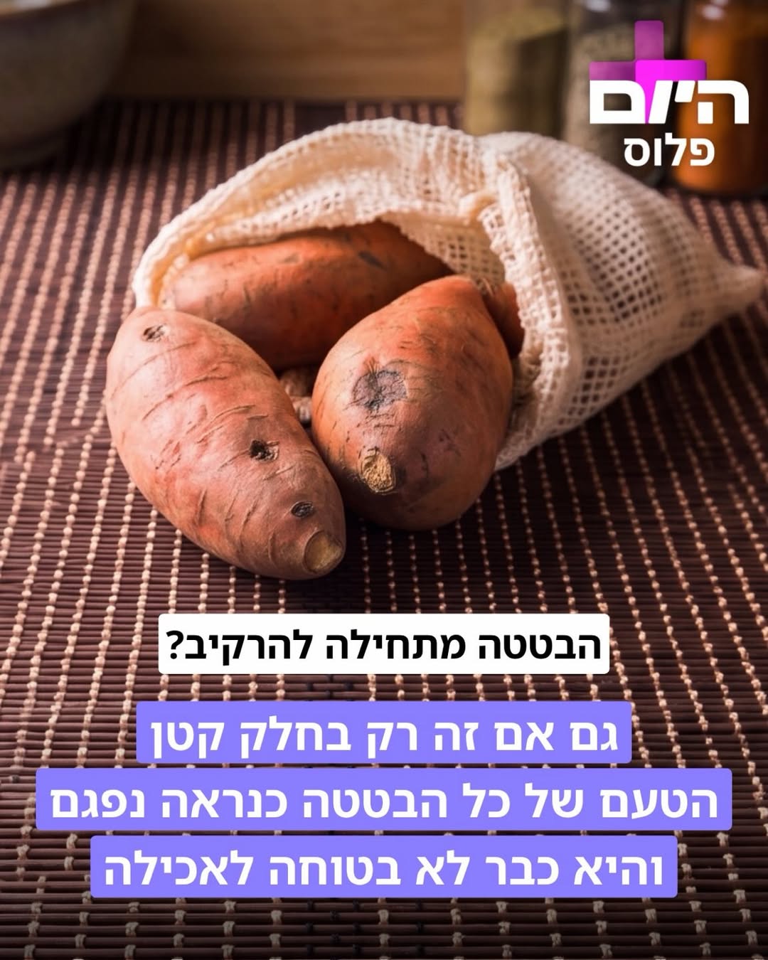 תמונה 5 מתוך 5