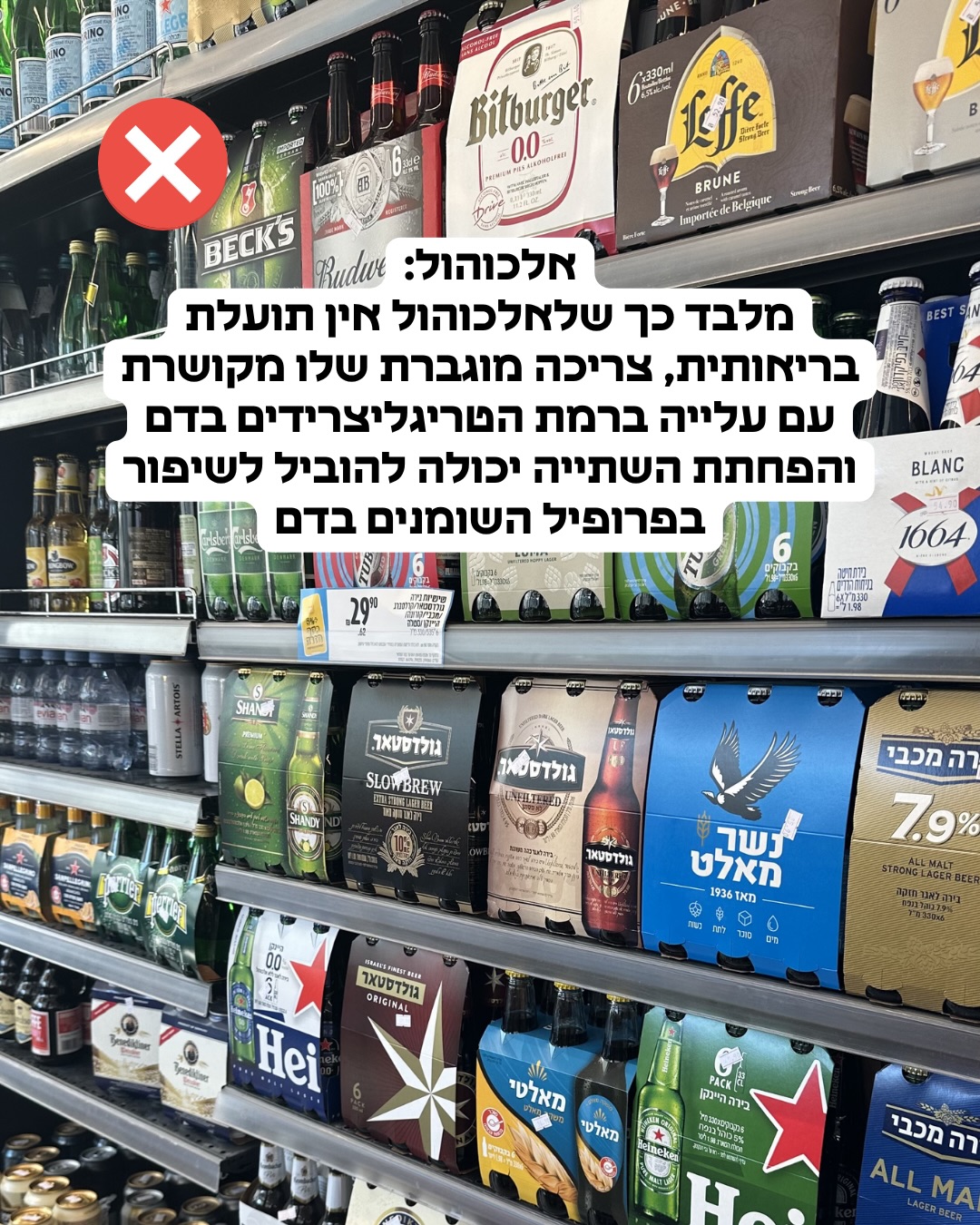 תמונה 13 מתוך 18