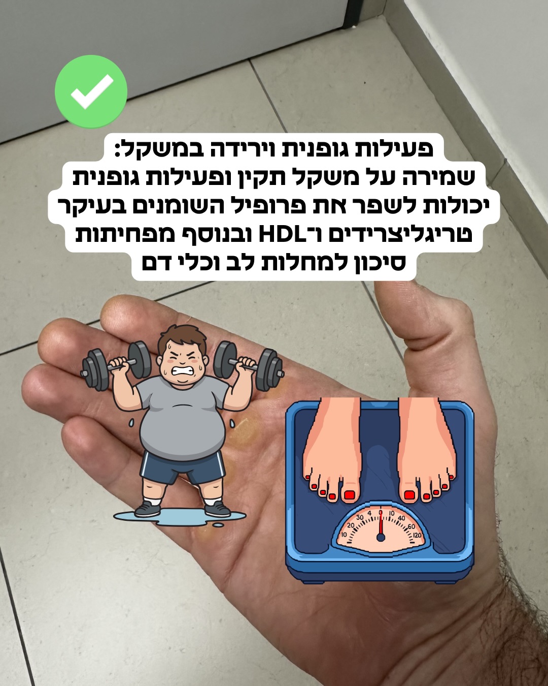 תמונה 17 מתוך 18