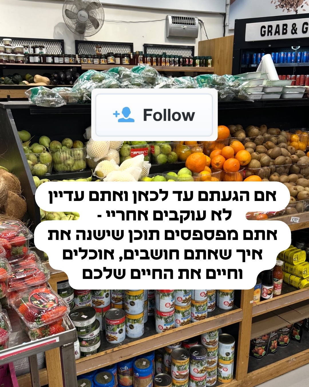 תמונה 18 מתוך 18