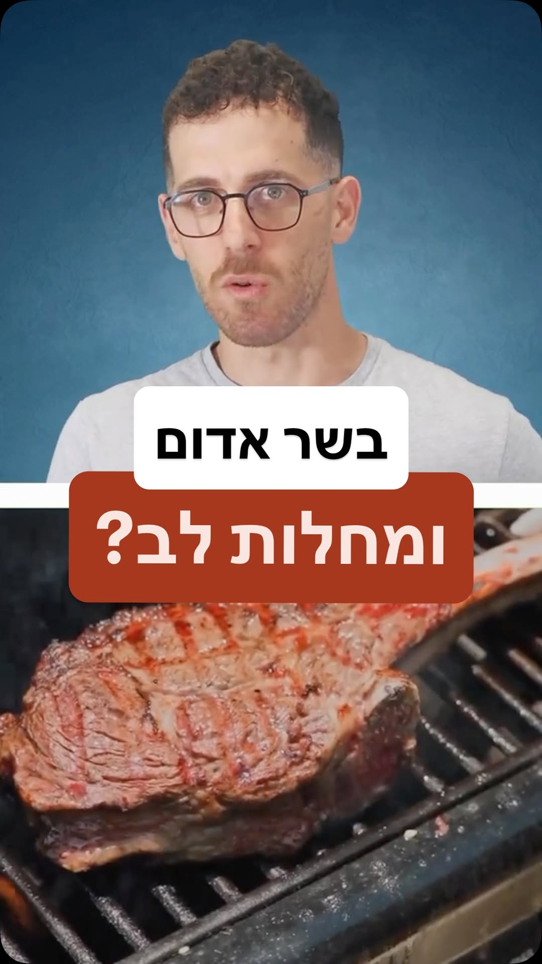 תמונה מקדימה